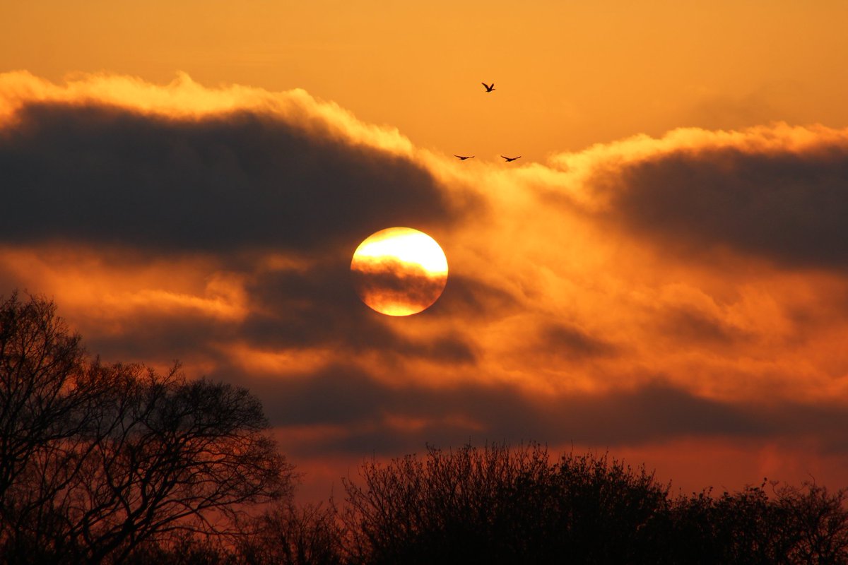 PeshiyTurizm's tweet image. "Настоящее счастье — это быть на закате рядом с природой"
#Hiking #adventures #adventurespirit #nature #wild #wildnature #wildlifenature #дикаяприрода #instadaily #photooftheday #picture #photo #Калининградскаяобласть #kaliningradregion #птицы #birds #закат #sunset #Curonianspit