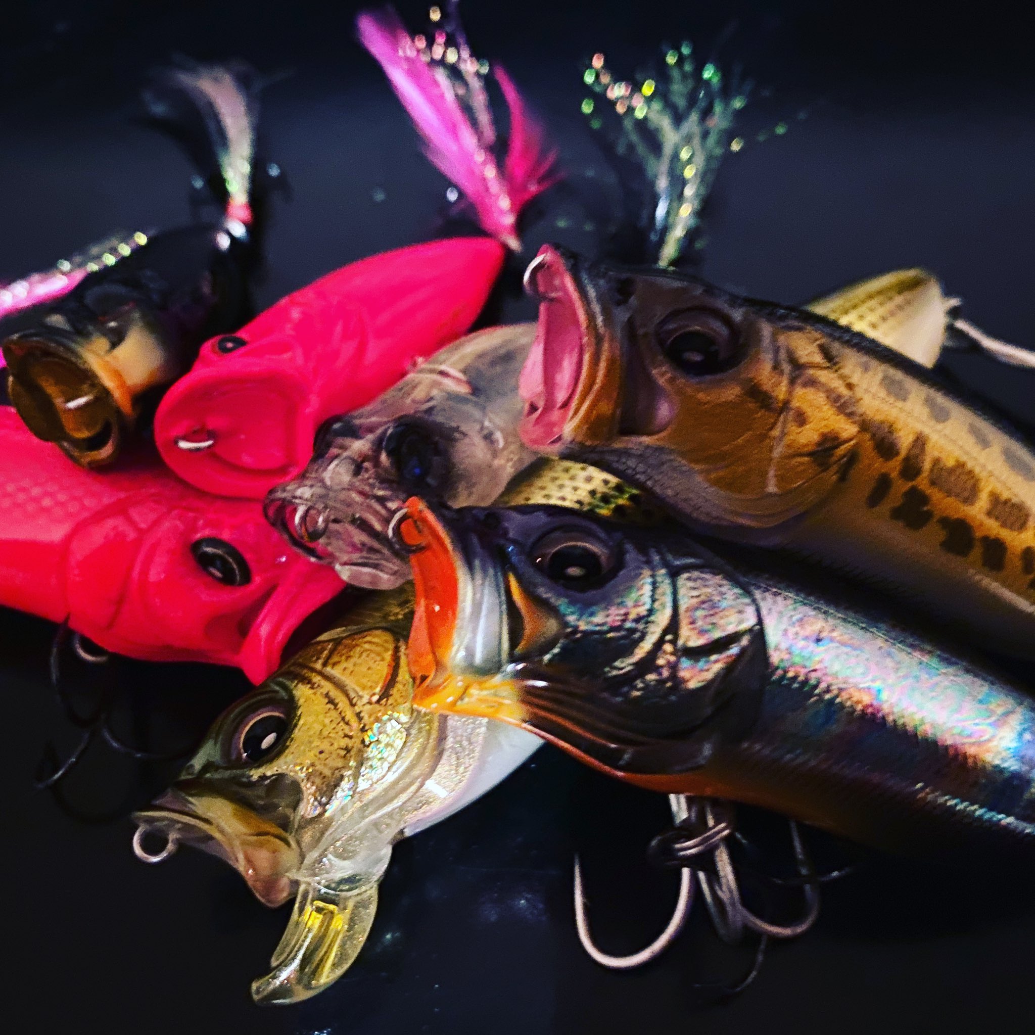 Anglers Life 釣り人あるある 釣れたルアー ワーム帰りに買って帰りがち バサーの皆さんなら共感して頂けるはず 琵琶湖バス釣り 琵琶湖おかっぱり 琵琶湖バスフィッシング つり 釣り 釣り好きな人と繋がりたい 釣り初心者 T Co