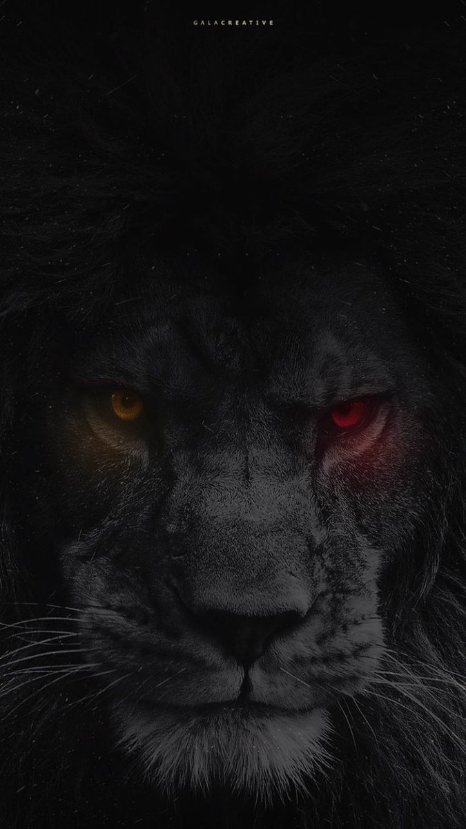 #CanınSağOlsunGalatasarayım 💛❤️💛❤️
<a href="/fatihterim/">Fatih Terim</a>
<a href="/GalatasaraySK/">Galatasaray SK</a>