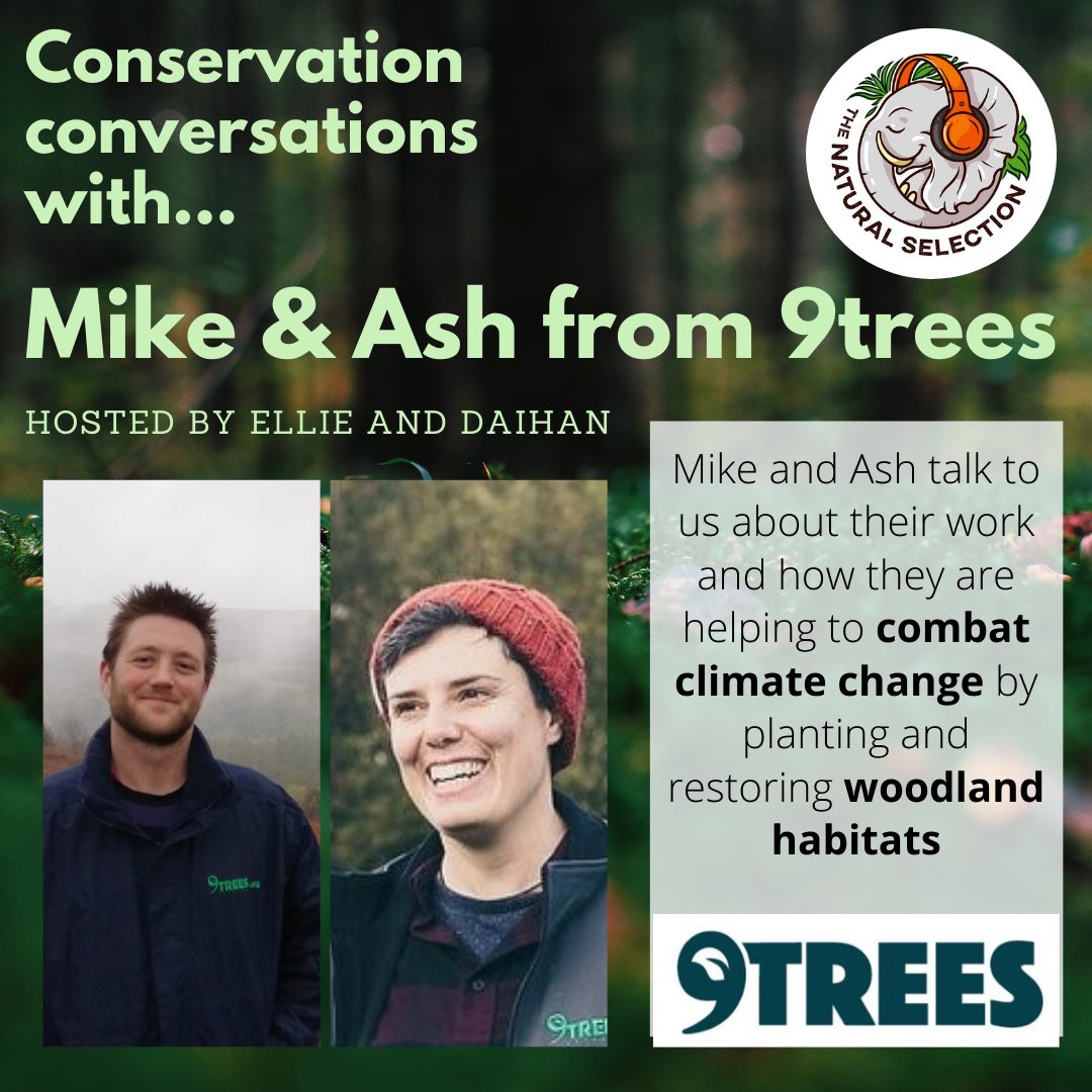Natural Selection (@uoepodcast) on Twitter photo 🚨New episode🚨
This week Ellie (<a href="/EllieMacD98/">Ellie MacDonald</a>) and Daihan (<a href="/LiuDaihan/">Daihan Liu</a>) talk to Mike and Ash from <a href="/9treesUK/">9Trees CIC</a> about their work tackling climate change by restoring new woodland habitats, promoting biodiversity, and connecting people with nature🌳
Stream now:linktr.ee/thenaturalsele… 🚨New episode🚨
This week Ellie (<a href="/EllieMacD98/">Ellie MacDonald</a>) and Daihan (<a href="/LiuDaihan/">Daihan Liu</a>) talk to Mike and Ash from <a href="/9treesUK/">9Trees CIC</a> about their work tackling climate change by restoring new woodland habitats, promoting biodiversity, and connecting people with nature🌳
Stream now:linktr.ee/thenaturalsele…