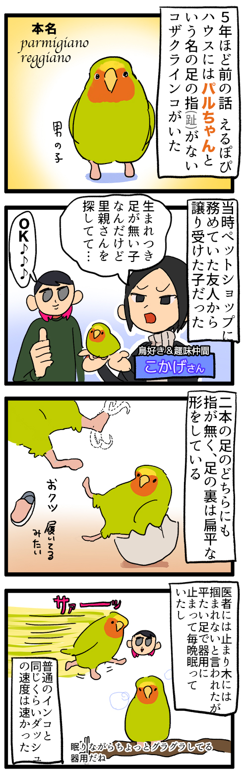 Twoucan コザクラインコ の注目ツイート イラスト マンガ Twoucan コザクラインコ の注目ツイート イラスト マンガ