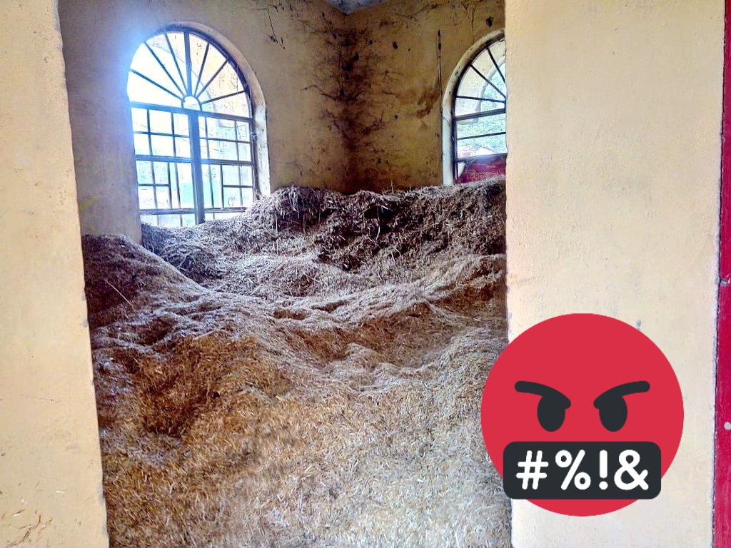 Sa_ke_t's tweet image. स्वास्थ्य घर बनल भुसा घर 
#OpenBangaonPHC