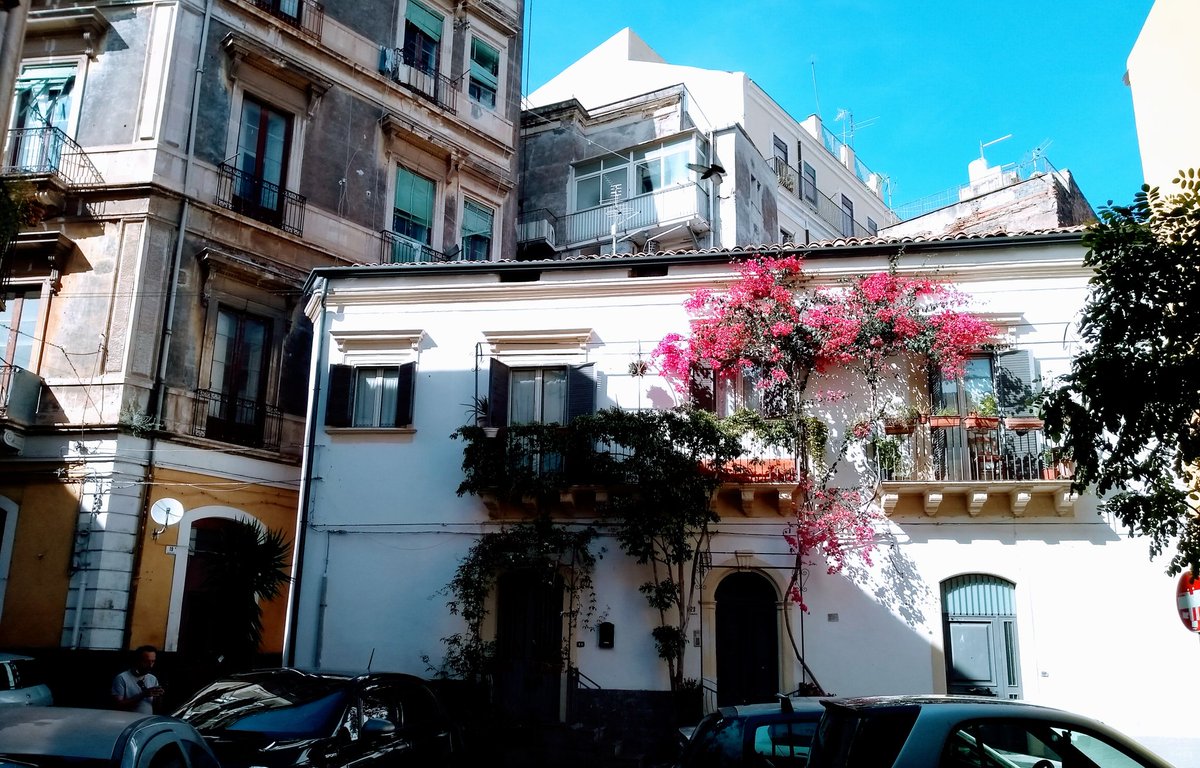 giusitarda's tweet photo. Scorci di #catania
#passeggiando https://t.co/HGvLKGRtAd