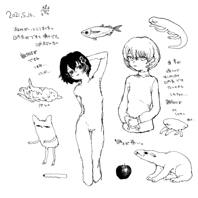 本日 