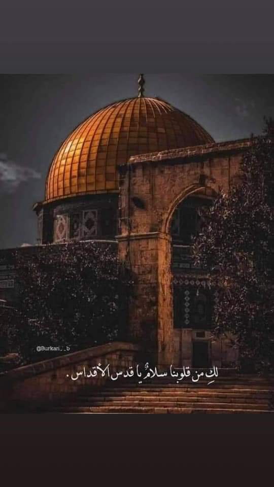 omshamoo's tweet photo. “اللهم عامًا كعام الفيل ..اللهم طيرًا أبابيل ترميهم بحجارة من سجّيل 🤲🏻”

فلسطين تنتفض 🔥

#GazaUnderAttack 
#savesheikhjarrah 
#Palestineunderattak https://t.co/AdIkdhNCi6