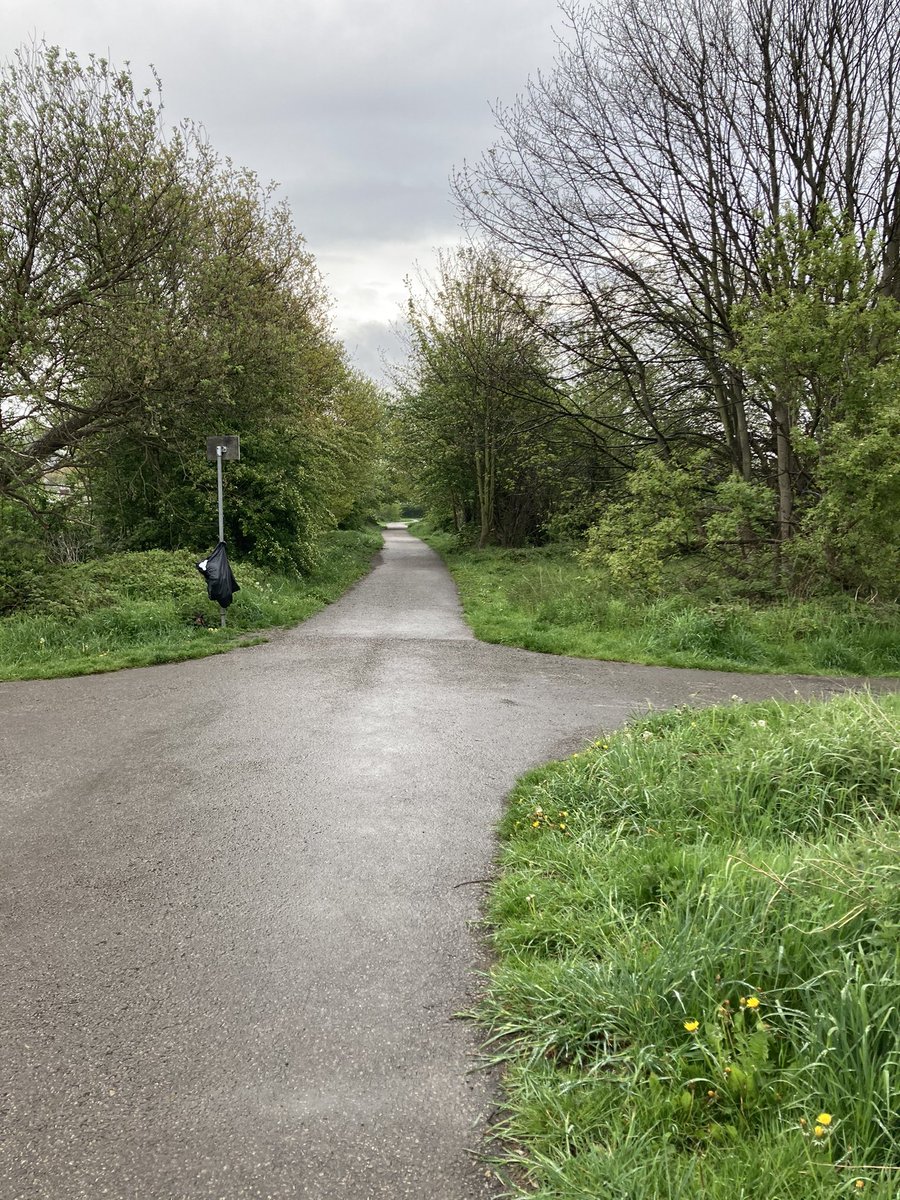 FriendsofSVG66 tweet media