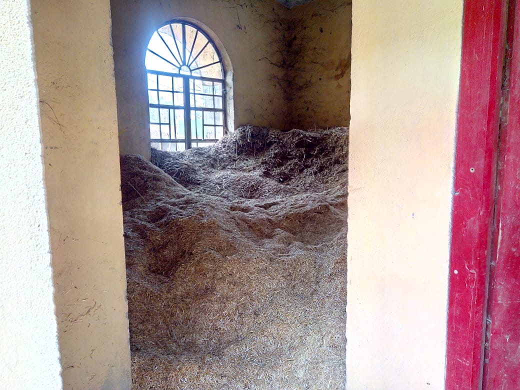 JhaAnand1947's tweet image. #openbangaonphc I am sending you some photos.  Bangaon Health Center which has been closed for 14 years.  It is being complained over and over again. But this is not being taken care of, but only assurances are being given. In this corona epidemic was not taken care.  Please help