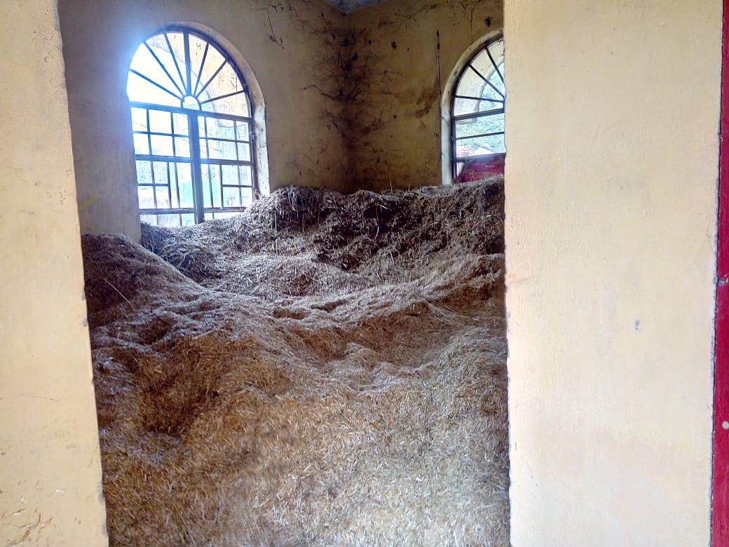 JhaAnand1947's tweet image. #openbangaonphc I am sending you some photos.  Bangaon Health Center which has been closed for 14 years.  It is being complained over and over again. But this is not being taken care of, but only assurances are being given. In this corona epidemic was not taken care.  Please help