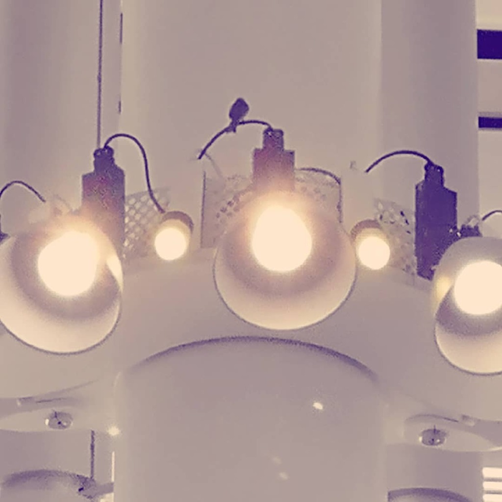 As I wander Heathrow I become aware of the sound of birds. Searching around to find the joyful and surprising sound, I look up to see a feathered friend take flight.

Walking through the terminal I hear many and wonder how many are living above the smart… instagr.am/p/CO7zQGerQ-Y/