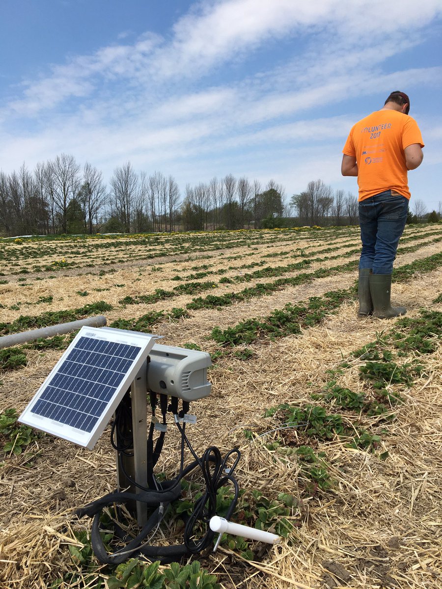 MorrisonBerries's tweet photo. Camera shy but check out our new toy! #SolarPower moisture reader to ensure we are not watering too much to #Conserve and grow great #Ontario #Strawberries ! https://t.co/5wkauouSuK