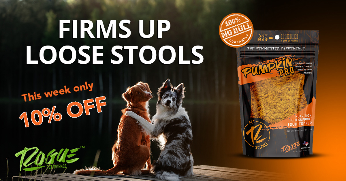 RoguePetScience's tweet image. Pumpkin Pro is a great nutritional supplement for your dog PLUS it relieves diarrhea and firms up loose stools. Get it now for 10% OFF! ow.ly/5cJD50ENP01

#dogpoop #dogs #dog #dogsofinstagram #doglovers #dogpoo #petlovers
