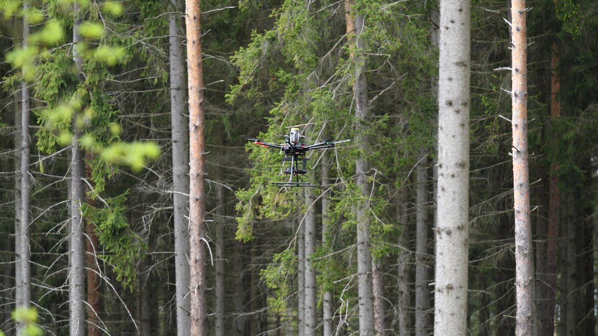RModlinger's tweet photo. Experiment: Reaction of the Norway spruce after the bark beetle attack in the #EXTEMIT-K #plot3and4. First step Hyperspectral scanning. https://t.co/yoU9UjeX8N