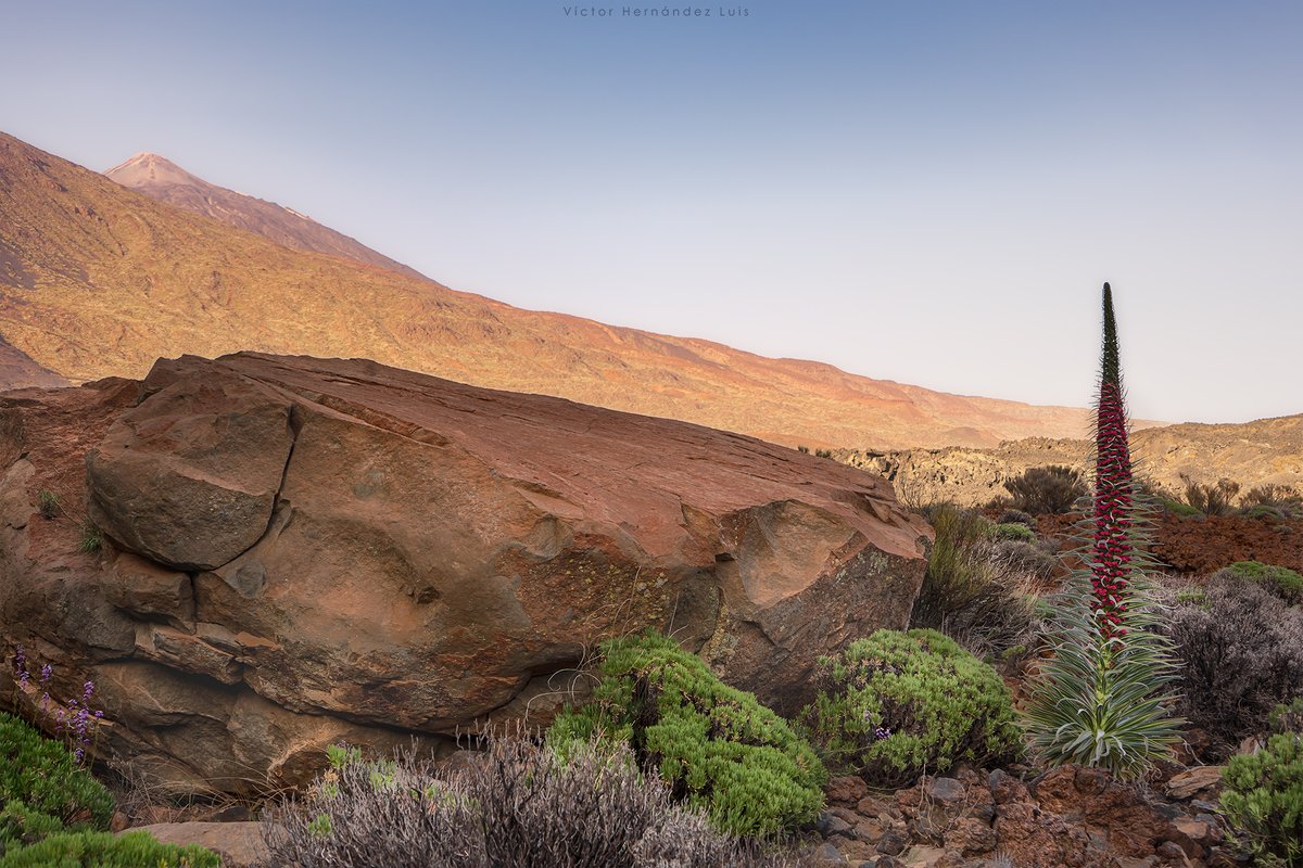 Vivimos en el paraíso @visit_tenerife
 
@VisitTenerifeES
 
@Tenerife_Ocio
 
@LoqueVeoTfe
 
@meteotenerife
 
@TenerifeBonjour
 
@TeneriFeliz
 
@Tenerifelicidad
 
@TenerifePunto
 
@TenerifeMag
 
@ven_a_canarias
 
@canarias7
 
@Cahora
 
@AEMET_Canarias
 
@7IslasCanarias