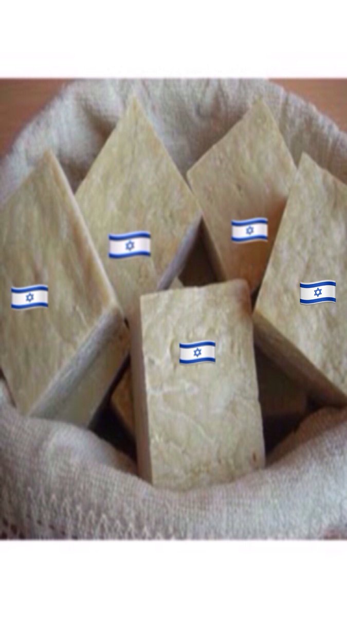 ebrarisaye's tweet photo. @IsraeliPM_heb https://t.co/LuaIfKW5g3