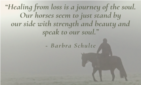 WillowCoaching's tweet photo. Updates from the Horses - https://t.co/M8zbzQtQSJ https://t.co/mWTcRFzF4o