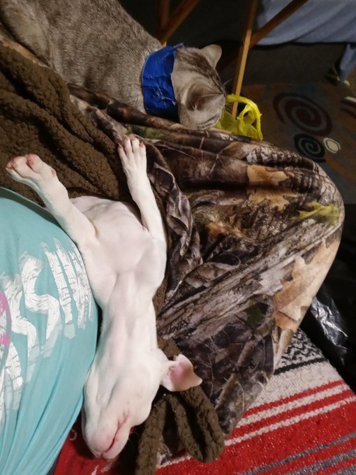 Wanna see other belly pics 😈😉come check out my OF account @sexyangel61120 https://t.co/Be5oaRtlMB