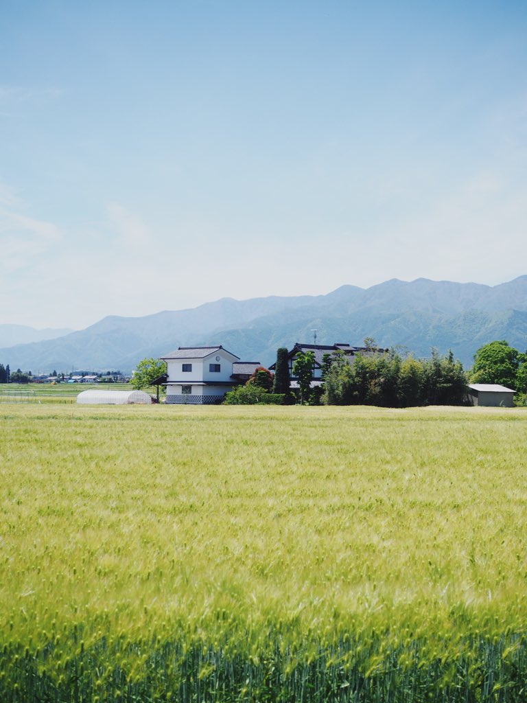 hiddenthread_'s tweet photo. Little japan 🌿☁️ (2019)
— Azumino, Nagano https://t.co/HuSqFkDZq4