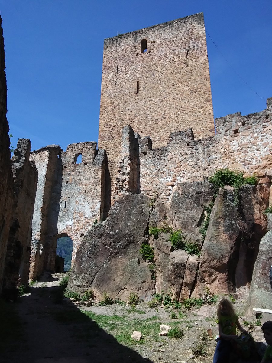 SylviaMariaZ's tweet photo. #terlan #ausflug https://t.co/CHa2seYZ7F