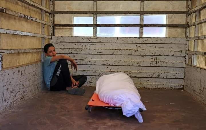 Dina_Ferwana ll GAZA🇵🇸 tweet media