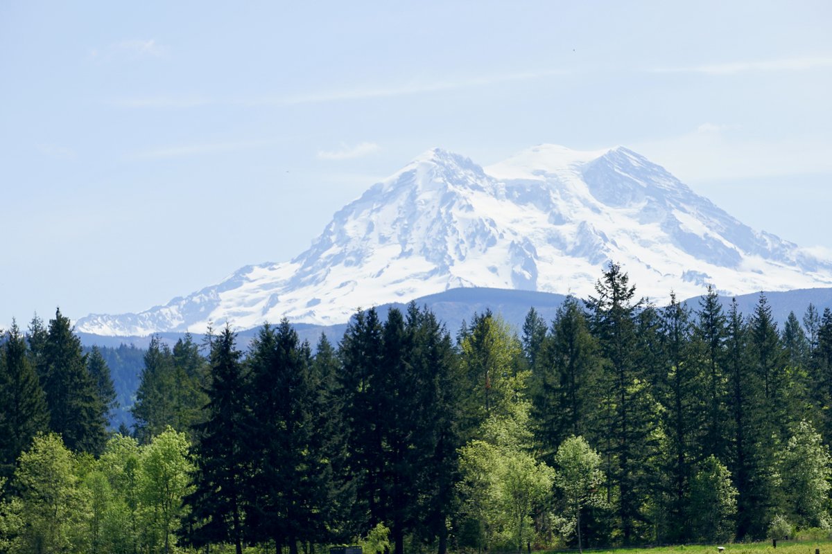 SeattleBBA's tweet image. "The mountain is out!" - that's the cry of locals and visitors when Mount Rainier is clearly in view. Read about how to get up-close and personal with the mountain on our blog: lodginginseattle.com/blog/2021/05/t… #PNWtravel