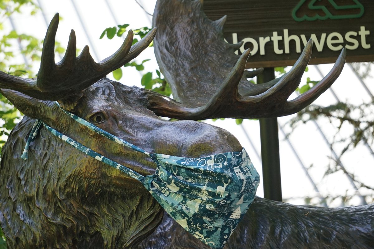 SeattleBBA's tweet image. "The mountain is out!" - that's the cry of locals and visitors when Mount Rainier is clearly in view. Read about how to get up-close and personal with the mountain on our blog: lodginginseattle.com/blog/2021/05/t… #PNWtravel