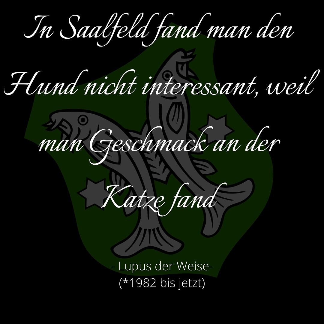 sekmodelabel's tweet photo. #saalfelderessenkatzen #sek #sekmodelabel #modelabel #katze #cat #saalfeld #berlin #thüringen #osten #ostdeutschland #ostdeutsch #ostberlin #lustig #miau #sprüche #saale #supportus #supportsmallbusiness #likeandshare #fun #shop #gegennazis #links #keinbockaufnazis #smallbusiness https://t.co/XFYePmZ4ta