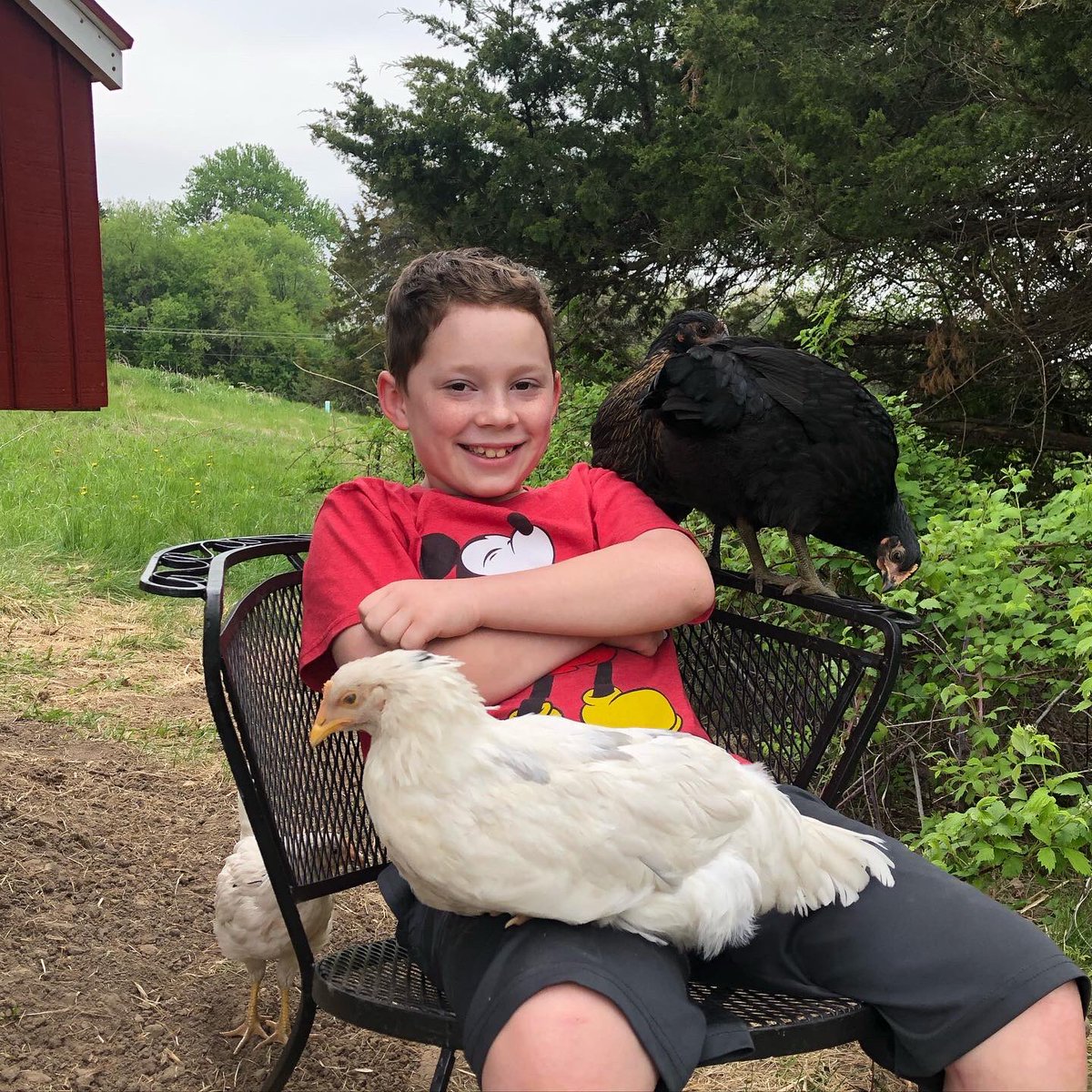 gavinthomas's tweet photo. photo dump from this week https://t.co/SQBukIvCHz