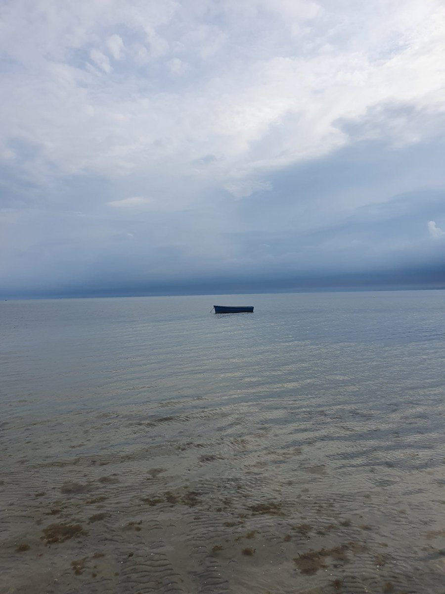 Małgosia tweet media