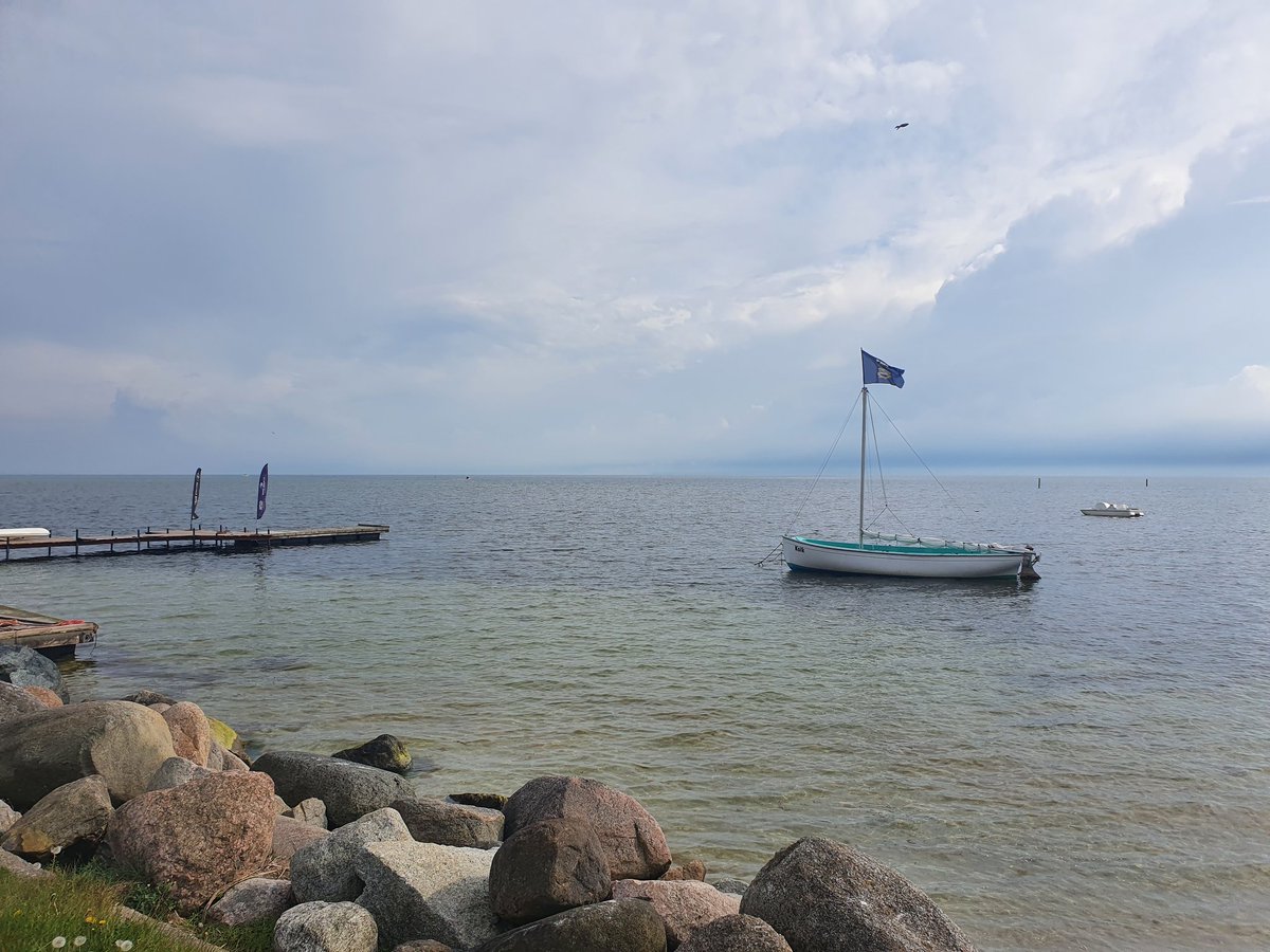 Małgosia tweet media