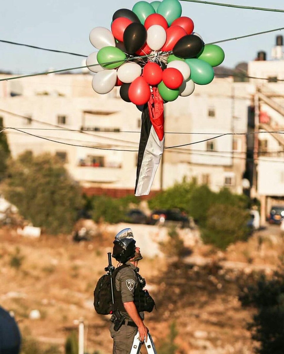 İşgalci israil, Filistin'i çağrıştıran her şeye düşman, balonlara bile..

#HearGaza