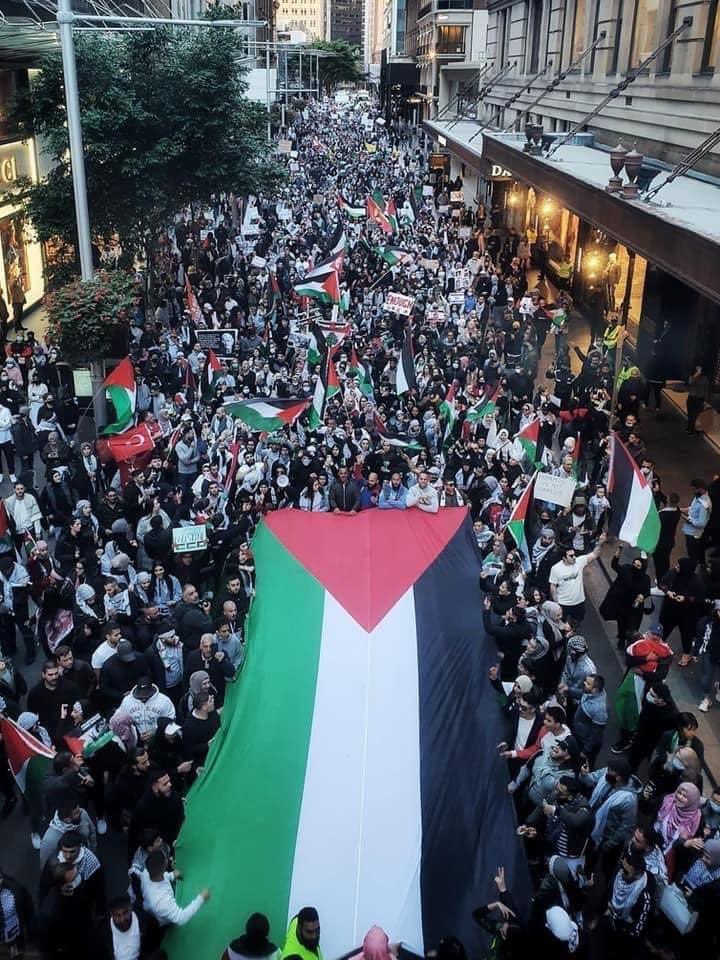 shellbelrowe's tweet photo. #FreePalestine 🇵🇸🇵🇸🇵🇸🇵🇸🥺😢❤️🙏🏾 https://t.co/Qplt1qDizZ