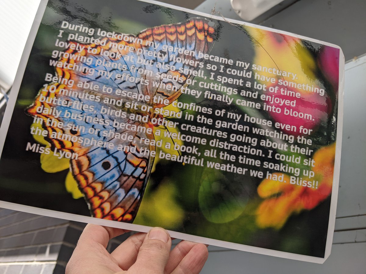 SwindonAcademy1's tweet photo. Messages from staff and information about mental health created lovely break and lunch conversations in our back to nature canopy area this week #mentalhealth 🌳🐦🌻🌼 https://t.co/5eN7UELwCU