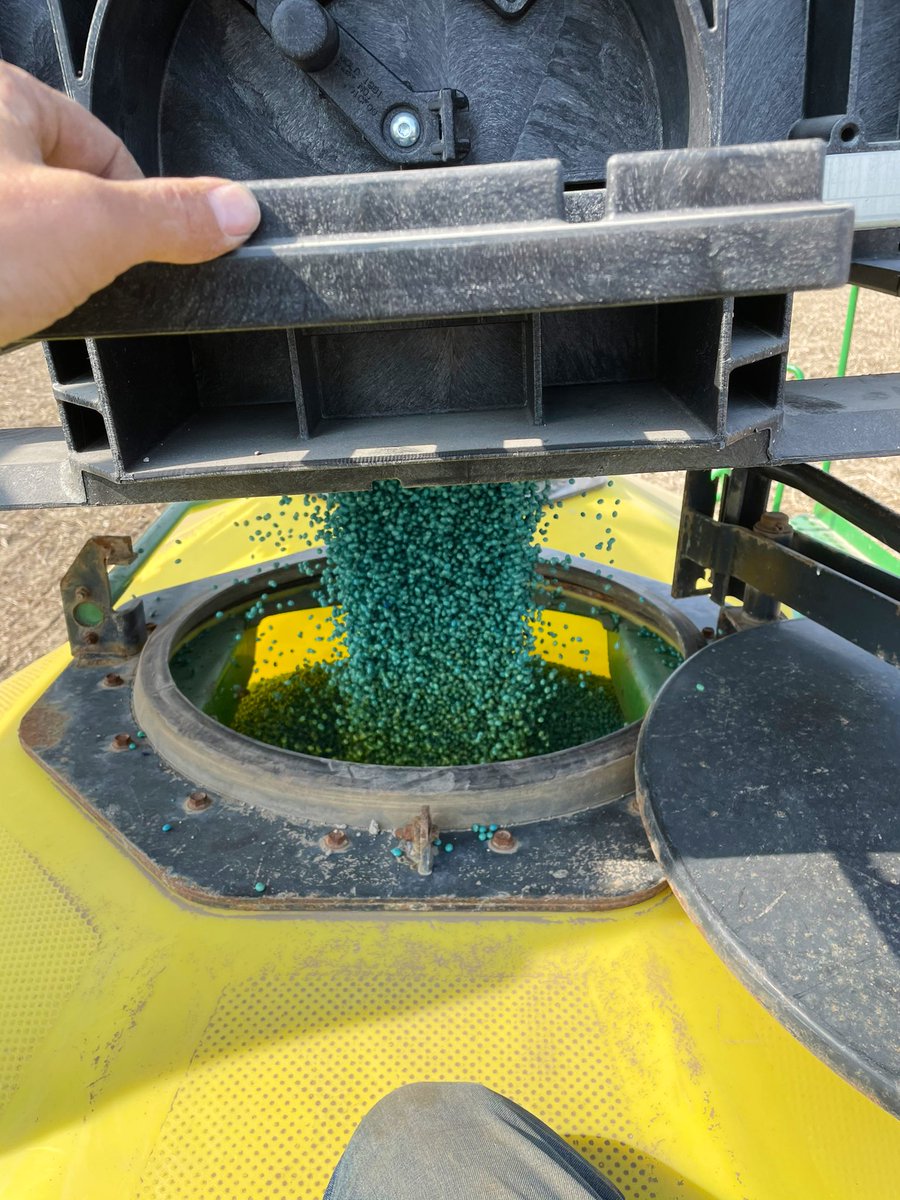 Dungannon_Dan's tweet photo. Beans beans beans. #letsroll #beans21 #plant21 #ontag ☀️ 🌱 https://t.co/D5pyCJdLqM