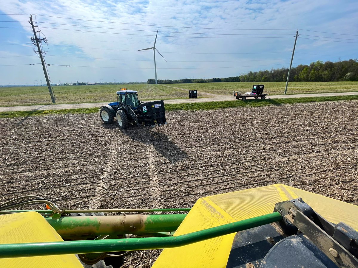 Dungannon_Dan's tweet photo. Beans beans beans. #letsroll #beans21 #plant21 #ontag ☀️ 🌱 https://t.co/D5pyCJdLqM
