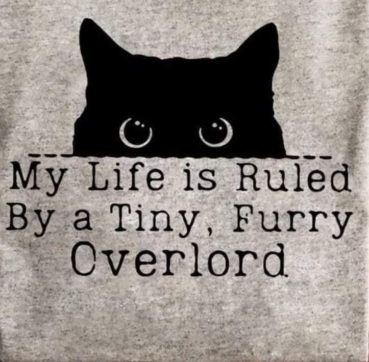 My life is ruled by a tiny (okay not so tiny), furry overlord.  And truth be told I wouldn't have it any other way. Love my cat:)
