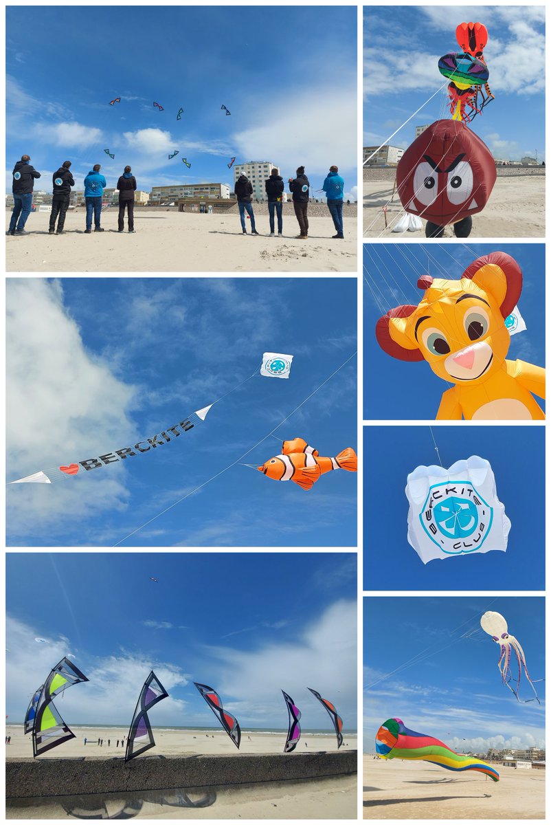 BercKite's tweet image. 