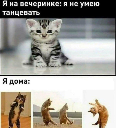 so_mad_so_funny's tweet photo. https://t.co/CFmIihteap