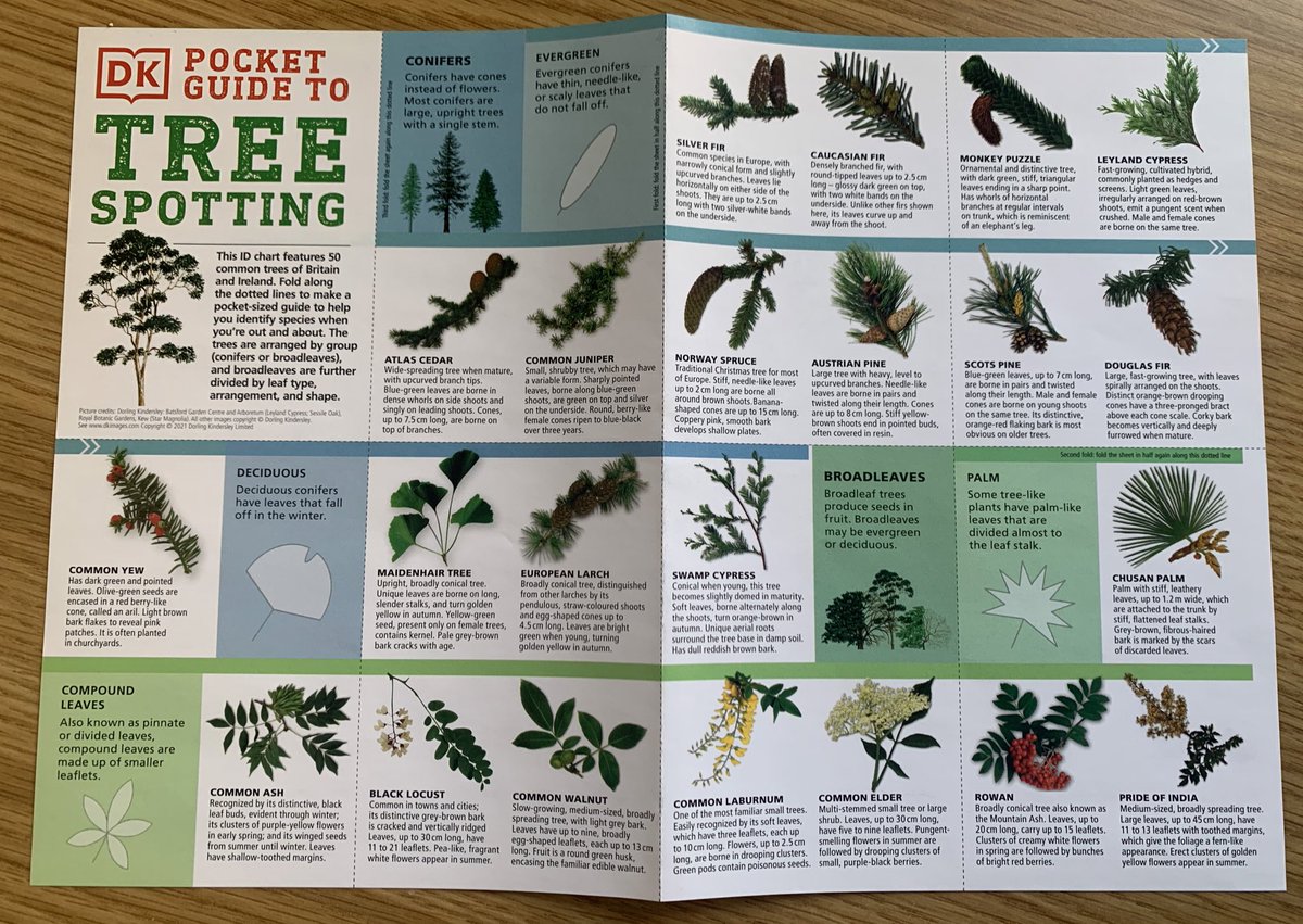 StCharlesGla's tweet photo. If anyone bought the #SundayMail or the #SundayMirror today we’d be grateful if you would donate the @dkpublishing #PocketGuide to #TreeSpotting to our school. We could use these for our #OutdoorLearning sessions with our pupils in @childrens_wood and the #BotanicGardens. https://t.co/HkoMdukxyS