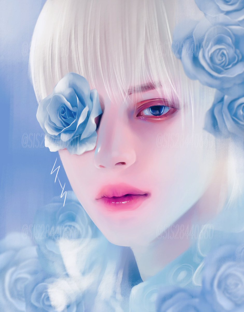 flower solo rose blue eyes blue flower blue rose white hair  illustration images