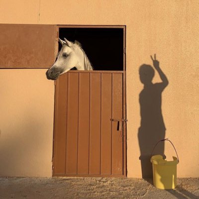 afars5502's tweet photo. #صورة_جديدة_للملف_الشخصي https://t.co/pqLLtNzJiV