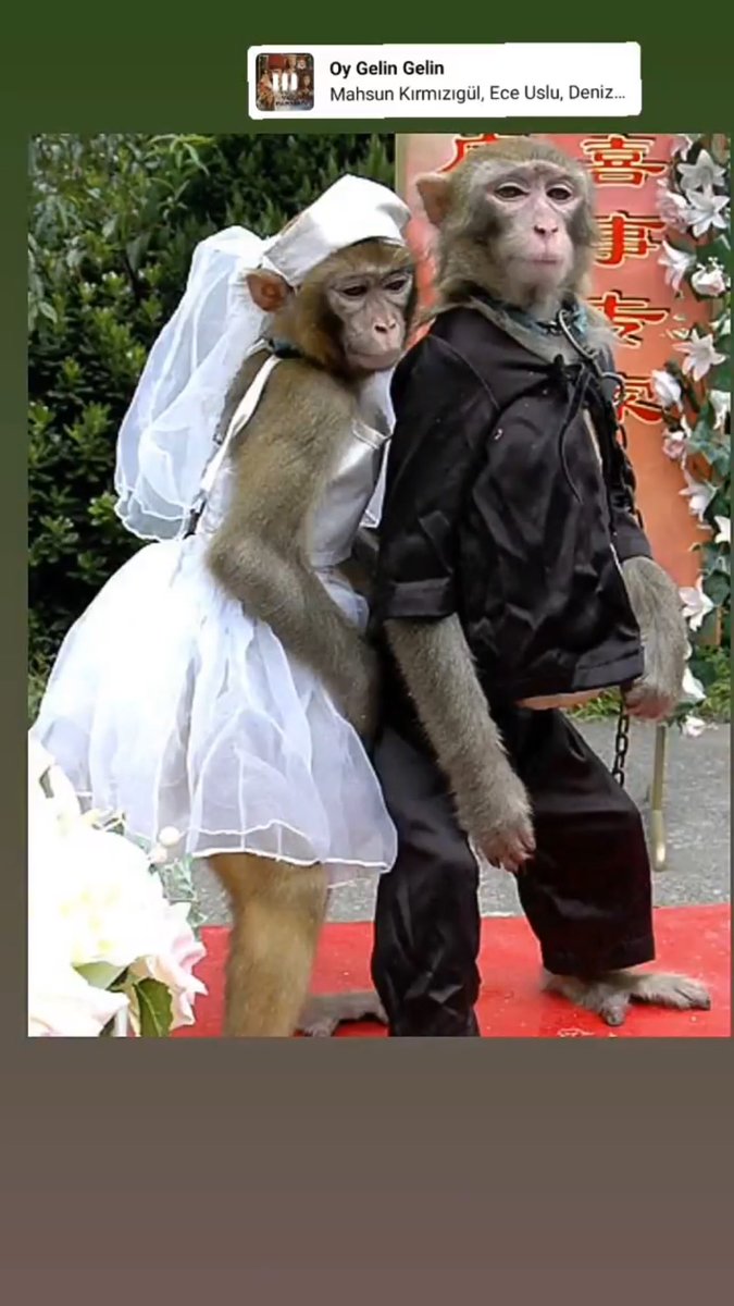 #yeterartık !!!
#borçlayaşanmaz 
#evetdemekistiyoruz 
#etkinliksektörüyokoluyor 
#düğünsektörüyokoluyor 
#evimiziçinişimizolmalı
#destekdeğilişimiziistiyoruz 
İnsanları maymun gibi görüp oynatamazsınız tarih verin 
<a href="/RTErdogan/">Recep Tayyip Erdoğan</a> 
<a href="/tcbestepe/">T.C. Cumhurbaşkanlığı</a> 
<a href="/TC_icisleri/">T.C. İçişleri Bakanlığı</a> 
<a href="/saglikbakanligi/">T.C. Sağlık Bakanlığı</a> 
<a href="/TCKultur/">Türk Kimya Mühendisi</a>