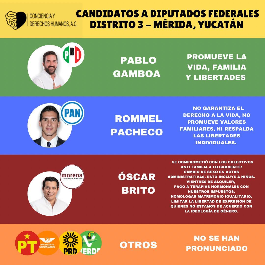 AukiOlivera's tweet photo. Candidatos del 3Distrito federal, Mérida Yucatán
#VotoUtil2021 #Voto6junio https://t.co/19TFr6IqhN