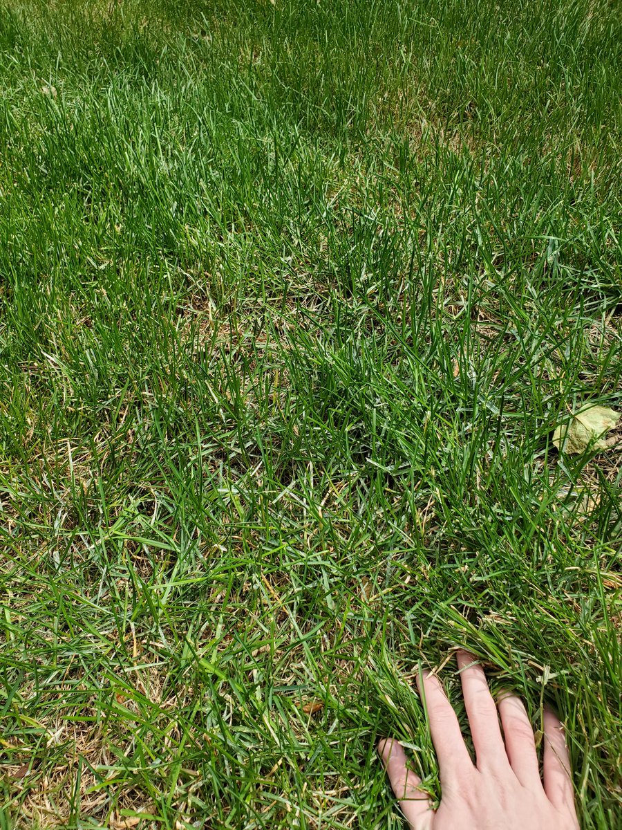 Feinberg tweet media