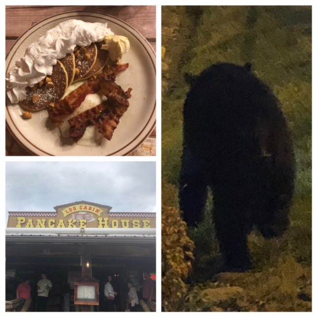 TateMathews's tweet photo. If we are discussing best breakfasts in Gatlinburg be prepared to hear me talk about Log Cabin Pancake House! The Butterscotch Chip Pancakes #NeverDisappoint No sign of @CoachJohnWild @jwq14 @MathewsJarrett or The Villain. We did run in to this guy! 🐻 https://t.co/iozYZ33STX