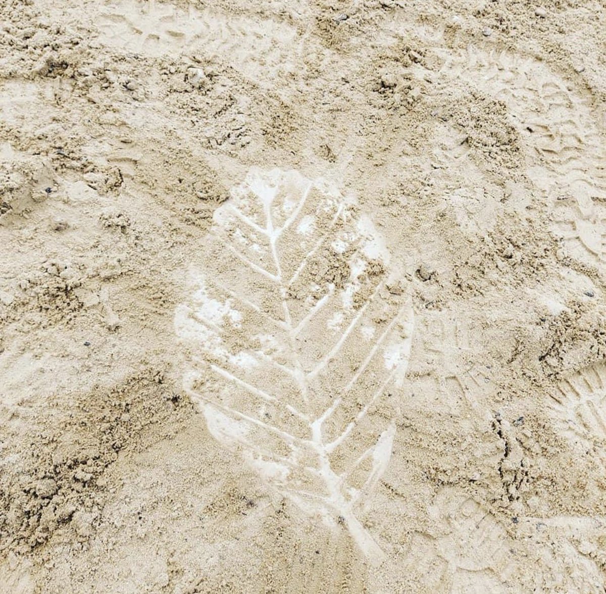 One thing everyone agreed on at the consultation stage was that we were NOT getting rid of the Clarence Park sand pit. So we’ve just added some new play equipment &amp; a few additional buckets &amp; spades