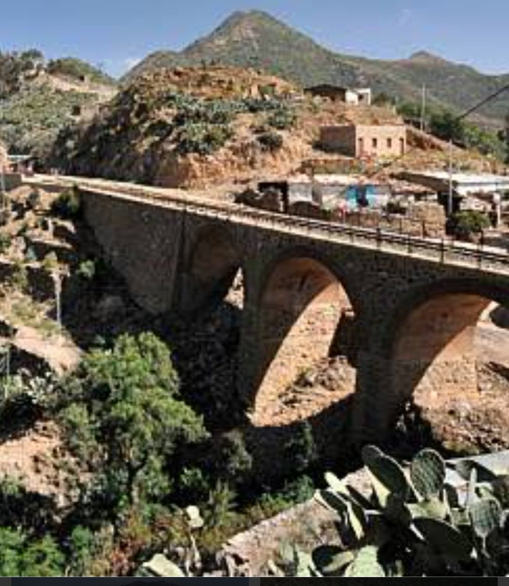 BeyeneRussom's tweet photo. #HappyIndependenceWeek
My ancestors home
Some green land & trees
Some desert & barren land
Beautiful valleys
Gigantic r the mountains
With climate, hot, cold &warm
Yr horizons & skies
The #Badmes territories & seas
& unique aroma & smells
My #EritreaPrevails https://t.co/nEMXweM7b3