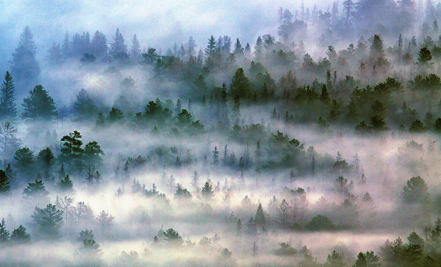 ColoProbs's tweet photo. ☁🌲☁🌲☁🌲☁🌲☁
🌲☁🌲☁🌲☁🌲☁🌲
☁🌲☁🌲☁🌲☁🌲☁ https://t.co/6eFsPCVGVC