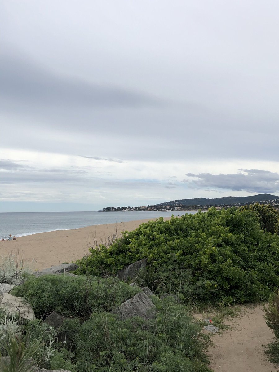 NathSert's tweet photo. Beige weather but nice walk #PortFréjus #Basenature https://t.co/peKq1MPIoB