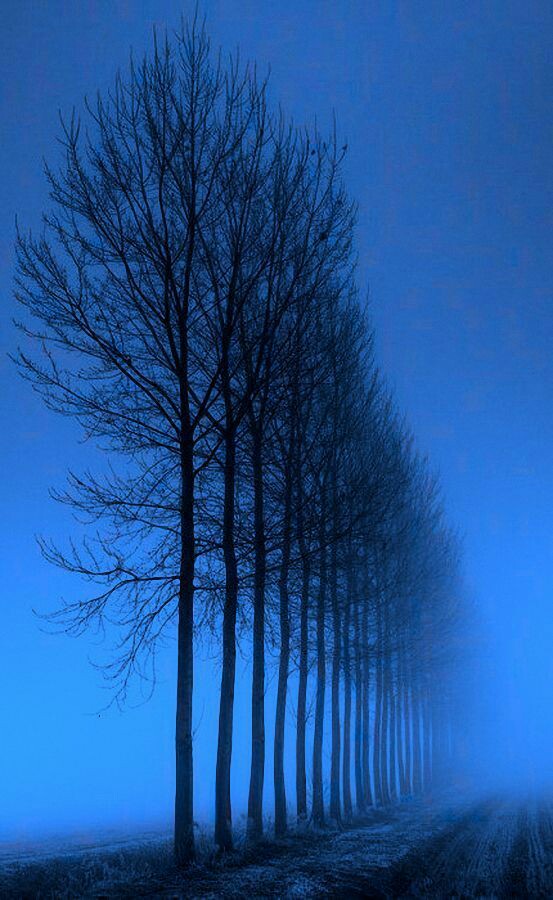 Good evening!