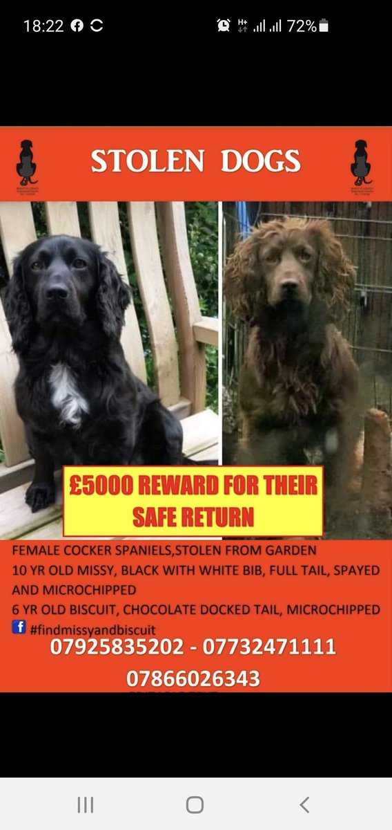 Come on twitter peeps.do your stuff.share far & wide 
@nottspolice you guys are ahead of the game with your force - well done
@StephLunch
@LFC
@ChrisGPackham 
@JohnBishop100 
@JasonManford
@DeborahMeaden
@sarajcox
Lets get these girls home.
#findmissyandbiscuit